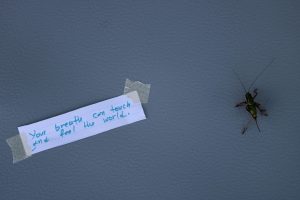 IMG_0003-scaled