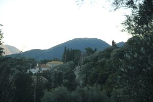 IMG_6434-scaled